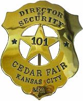 director of security badge